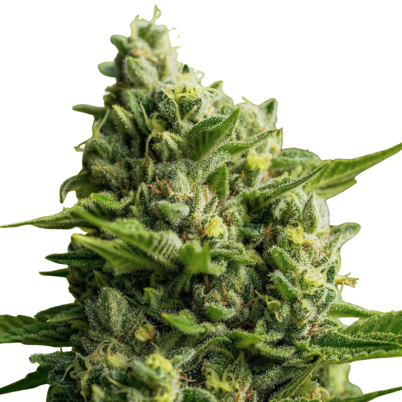 11df0e50-0e03-4b3f-9f02-2d6fa9fb36e0